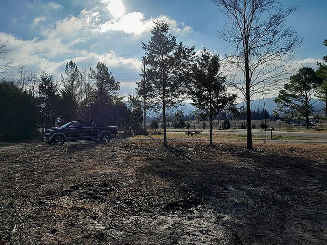 Image of 117 Marvaline Dr