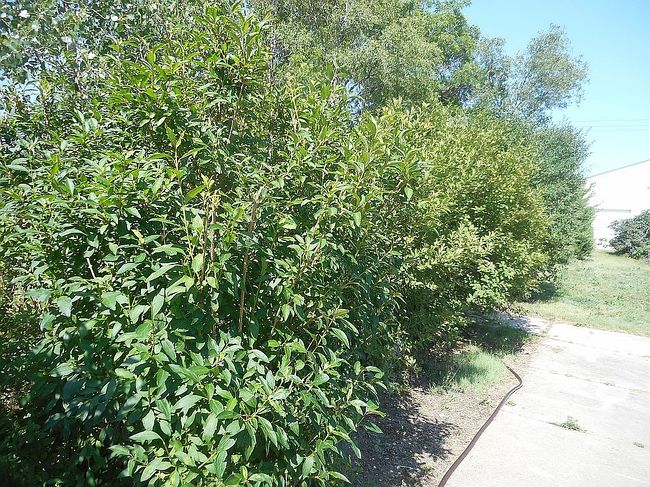 Image of 510 1st St