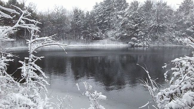 Photo of 0 Rt 2 Box 7410, Doniphan, MO