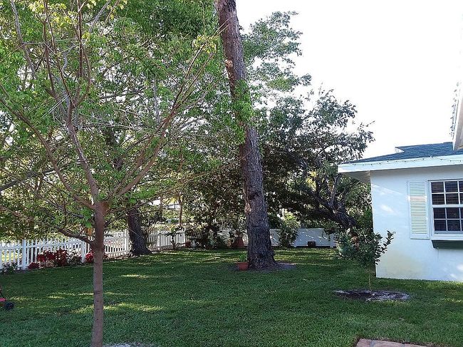 Photo of 626 Rudder Rd, Naples, FL