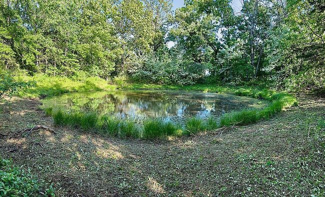 Image of 3856 Project Rd