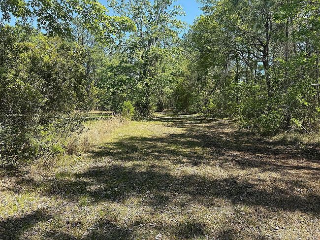 Photo of 140 Buffalo Bluff Rd, Palatka, FL
