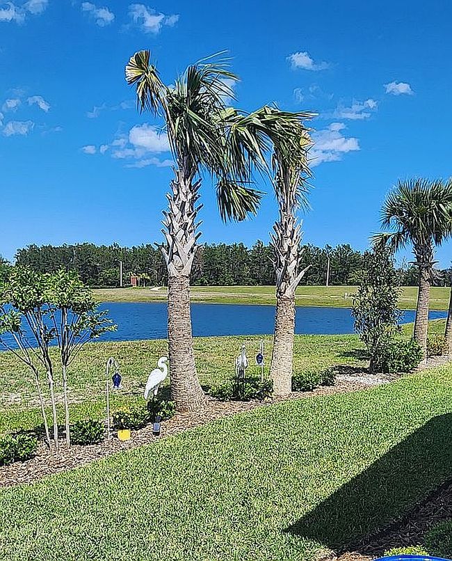 Photo of 2457 Chretien Dr, Ormond Beach, FL