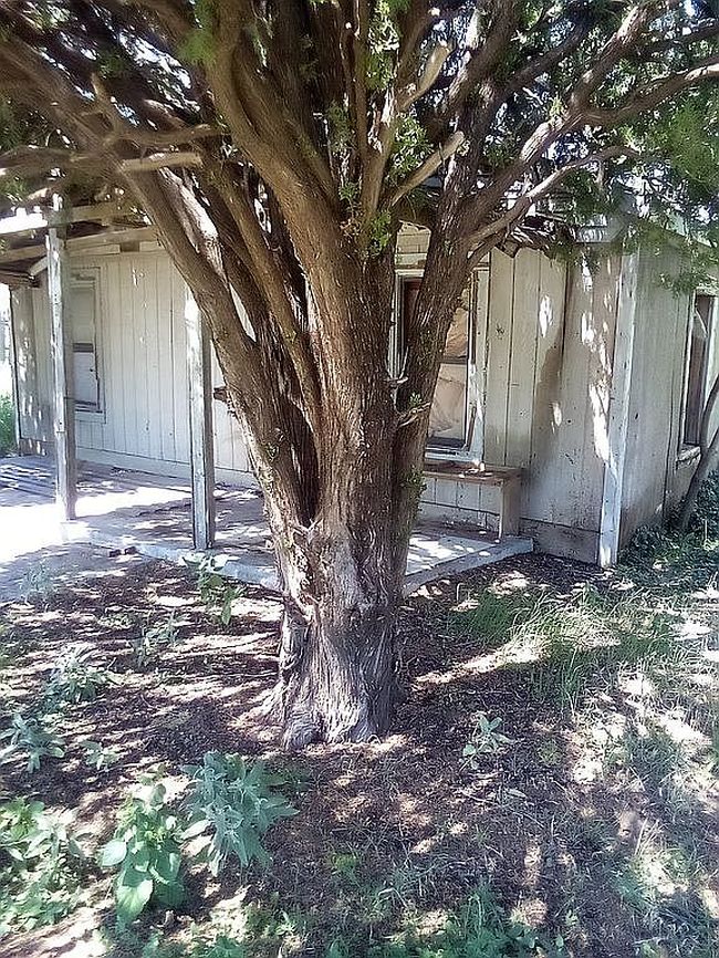 Photo of 815 S 3rd St, Slaton, TX
