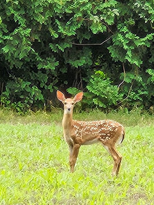 Additional photo 2 of property located at 0 Tucker Dr