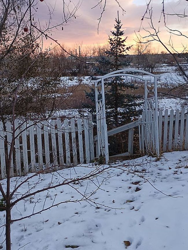 Image of 5505 Valmont Rd Lot 23