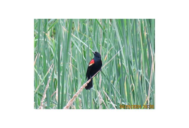 Additional photo 2 of property located at 36 Spruce Ct Ct