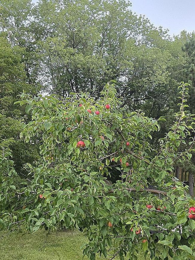 Additional photo 2 of property located at 28359 W Silent Dr