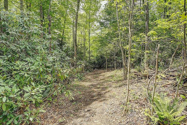 Image of 994 Fairview Rd