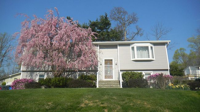 Image of 119 Clubhouse Dr