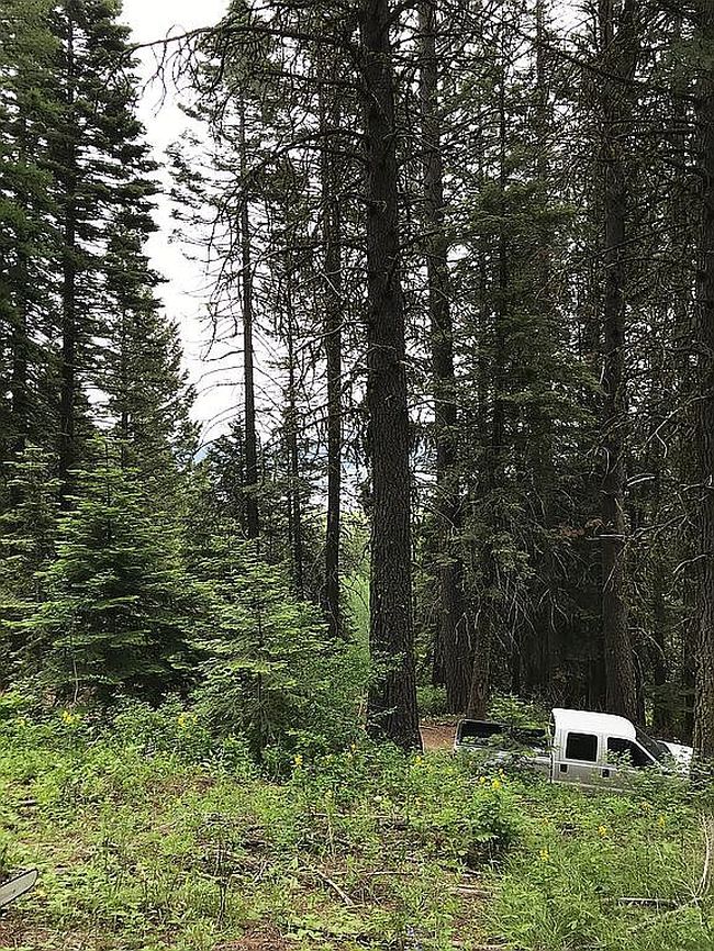 Photo of 66 Hillside Trl, Donnelly, ID
