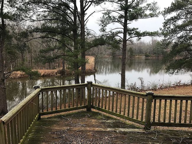 Photo of 91 Lookout Point Cv, Arlington, TN