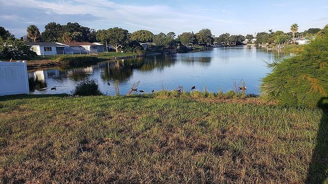 Photo of 11611 Scallop Dr, Port Richey, FL