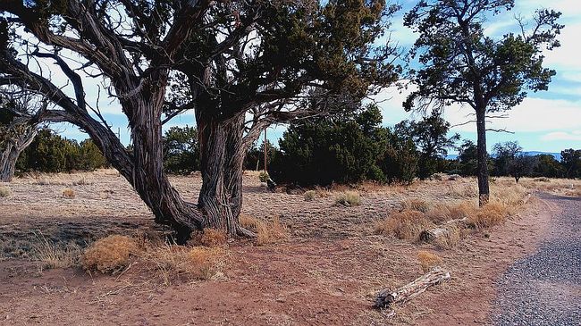 Photo of 77 Squaw Pass, Quemado, NM