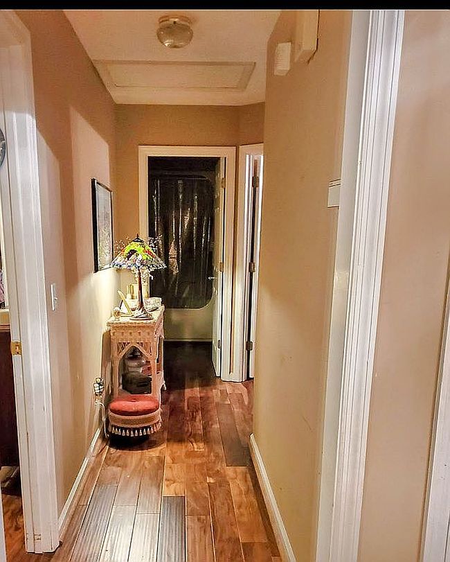 Image of 3407 Canopy Ct