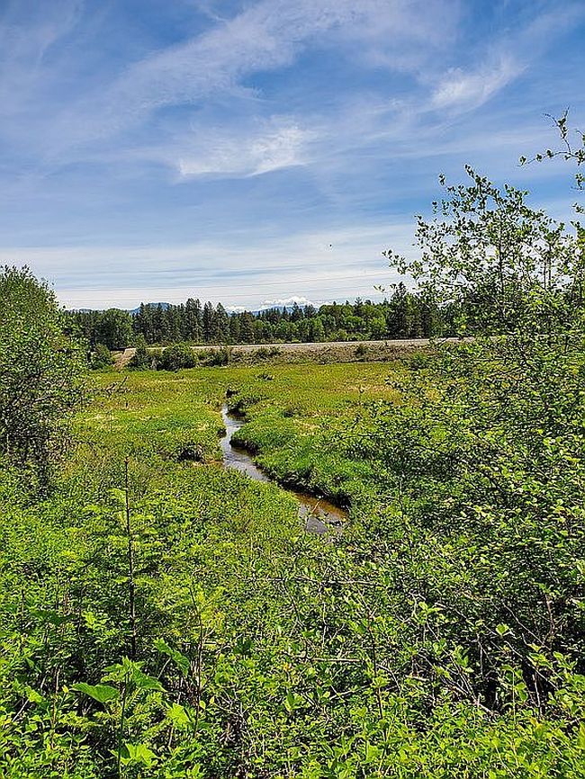 Image of Garden Ln