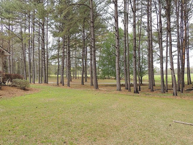 Image of 320 Everett Drennan Rd