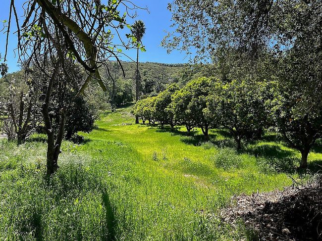 Image of 26055 Avenida Del Oro