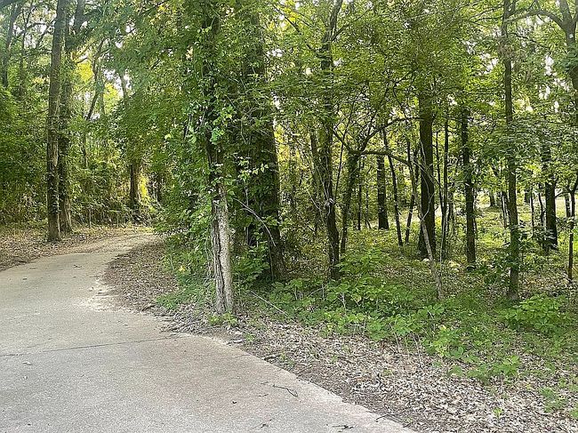 Photo of 1906 Fm 560, Hooks, TX