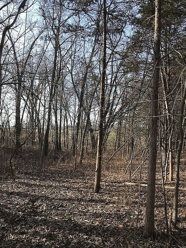 Image of 13 Red Oak Ests