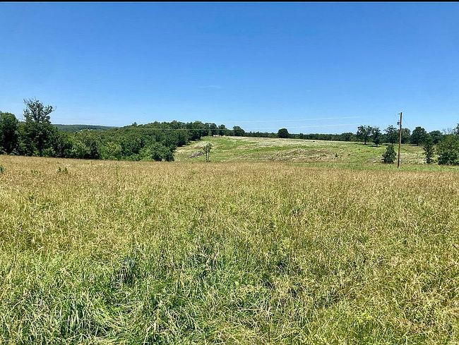 Photo of 2827 Lois Ln, Mansfield, MO