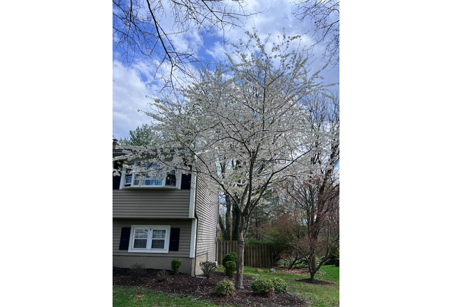 Photo of 10 Grandin Dr