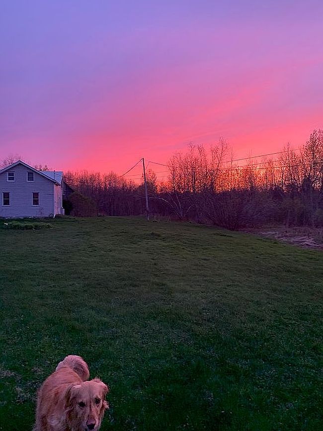 Photo of 419 Nephew Rd, Mooers Forks, NY