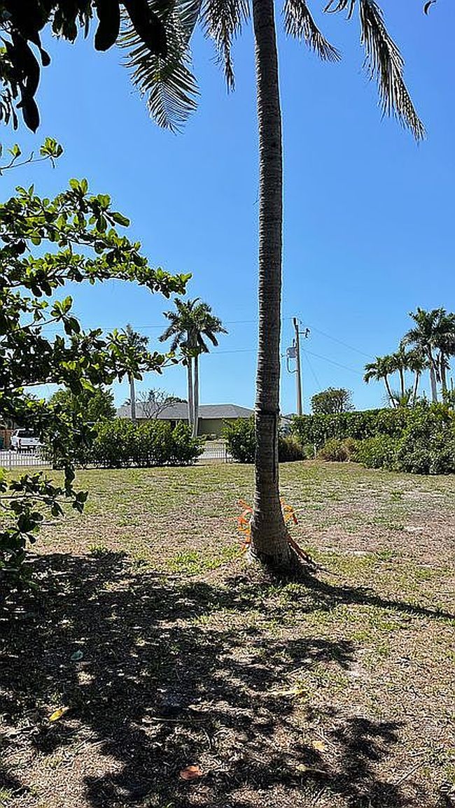 Image of 1564 Biscayne Way