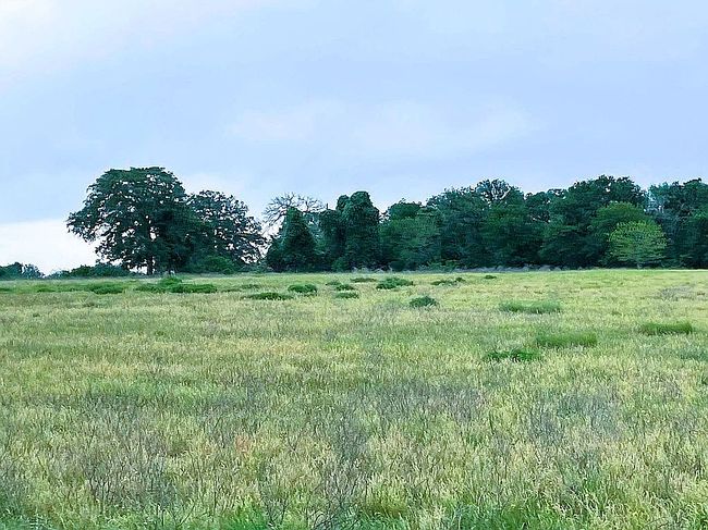 Photo of 625 Pine Ranch Rd