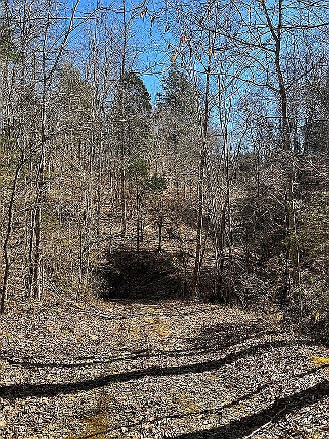 Photo of 146 Bf Flatt Rd, Jamestown, KY