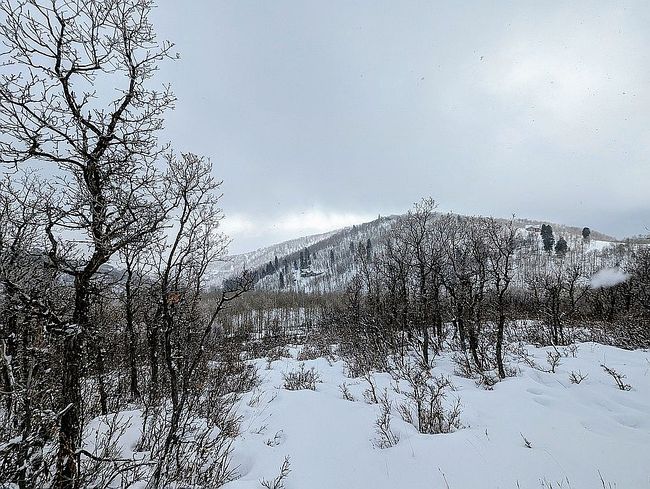 Image of 10406 N Kimball Canyon Rd