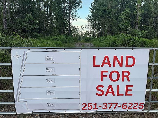 Photo of Lot 5 Phillipsville Rd, Bay Minette, AL