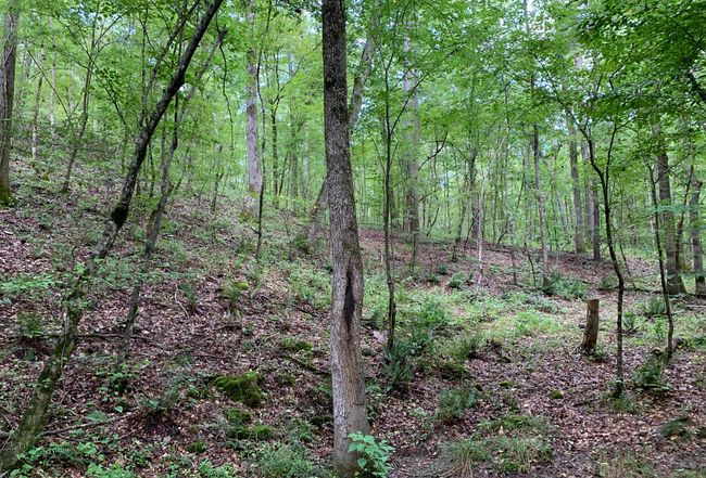 Image of 1321 River Road
