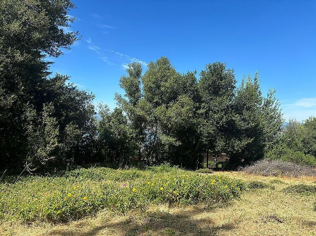 Photo of 8870 Serrano Way, Kelseyville, CA