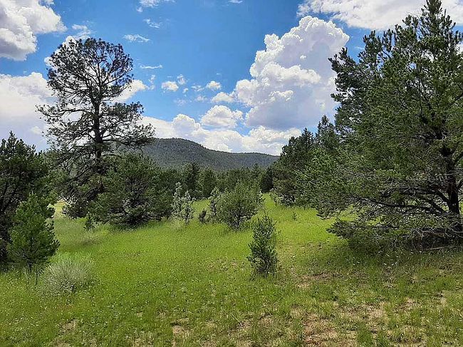 Additional photo 3 of property located at 311 Armijo Springs Rd