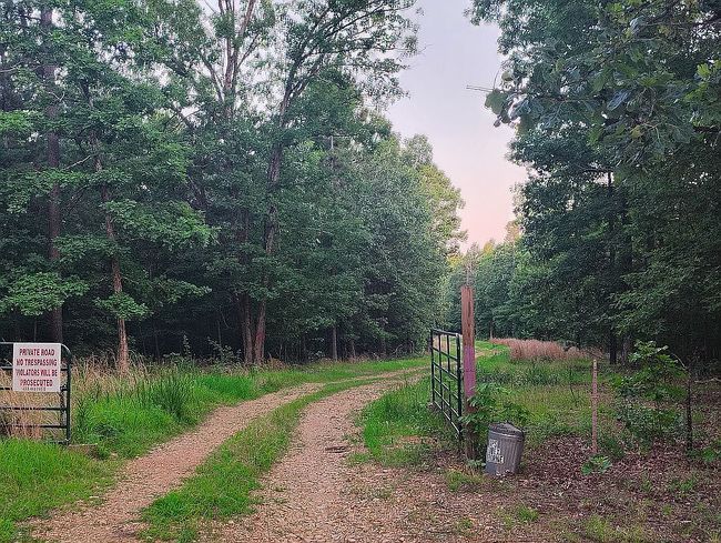 Photo of 273 Peaceful Ln, Yellville, AR