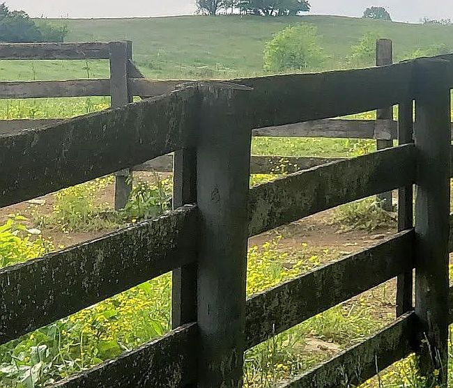 Image of 1251 Mundys Landing Rd