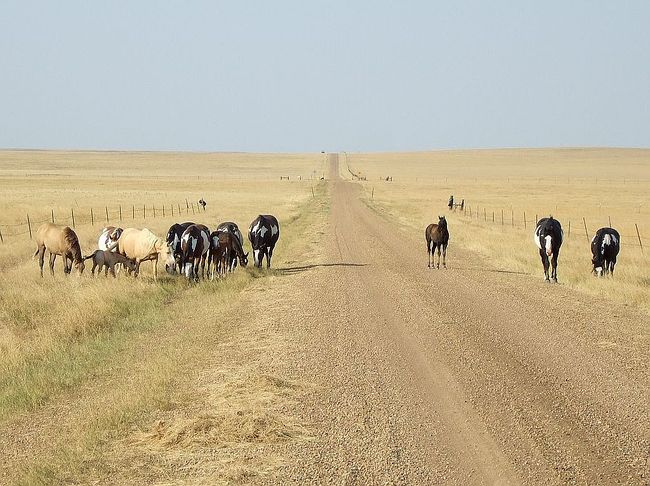 Additional photo 3 of property located at 17763 Twilight Rd