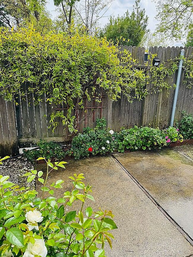 Image of 2436 Rashawn Dr
