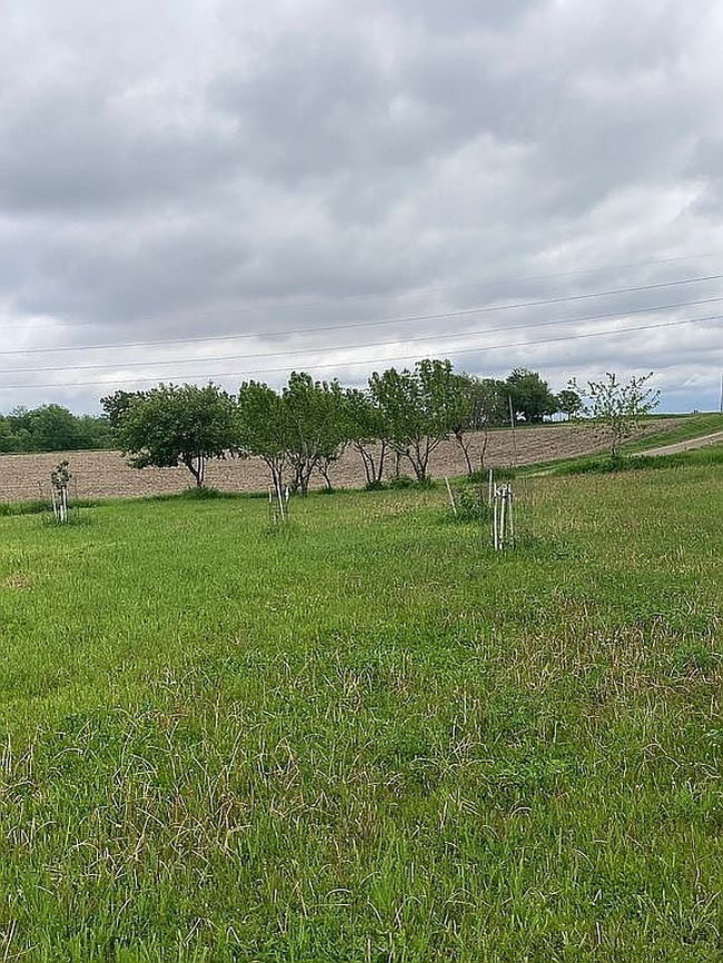 Photo of 2660 275th St, Marshalltown, IA