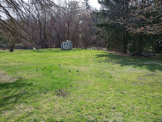 Image of 785 Carnegie Ave