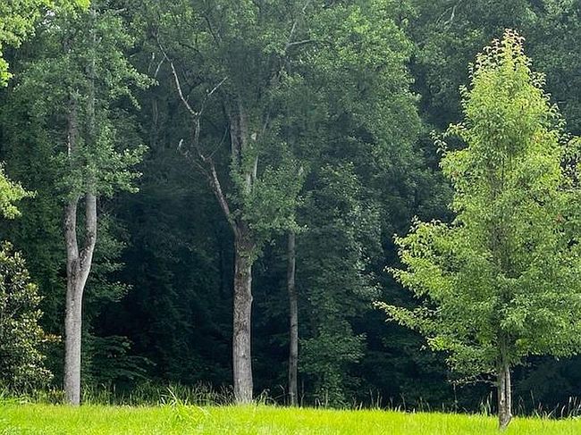 Additional photo 2 of property located at 15245 Birmingham Hwy