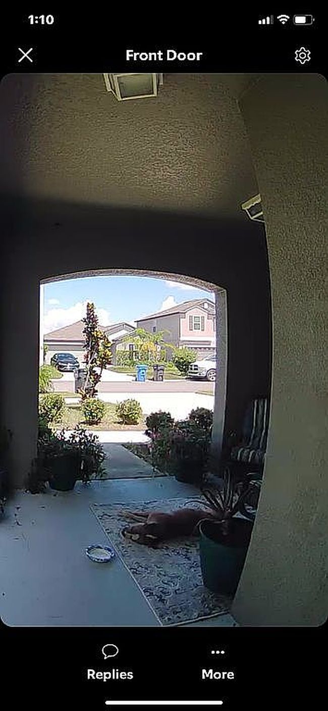 Photo of 10420 Carloway Hills Dr, Wimauma, FL