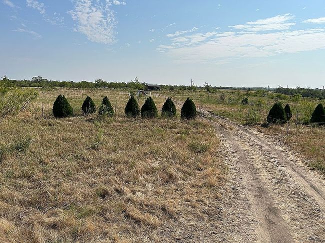 Photo of 1053 Gold Dust Rd, Seguin, TX