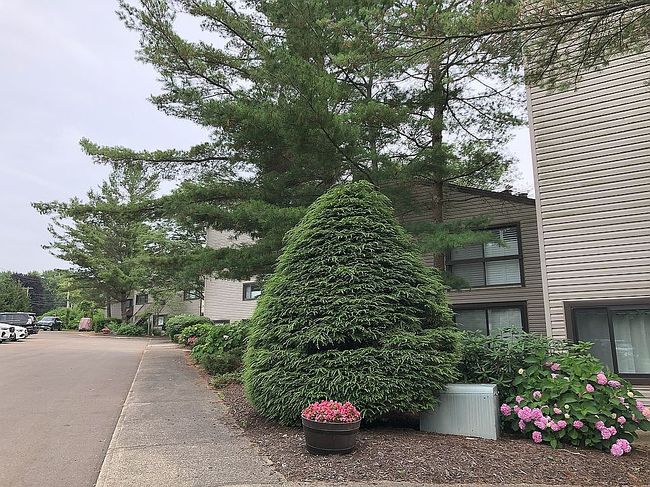 Photo of 5301 E Lake Rd Apt 8, Dewittville, NY