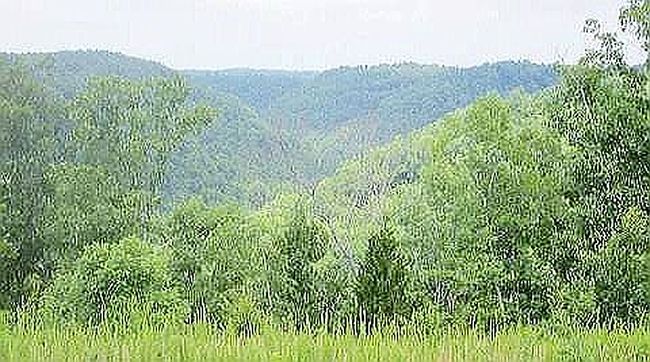 Image of 256 Terrapin Ridge Rd