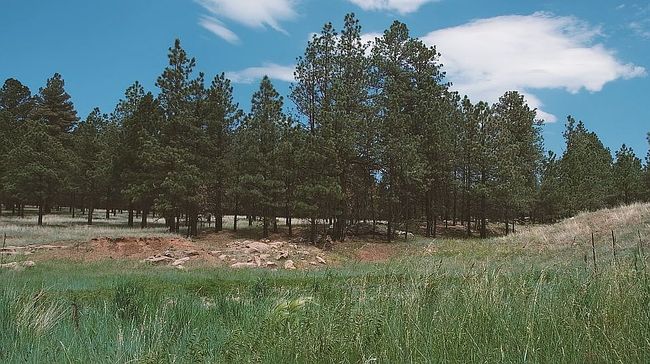 Image of 0 Blue Deer Ranch Rd Lot 14