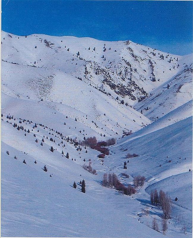 Photo of 300 Red Elephant Gulch Rd, Hailey, ID