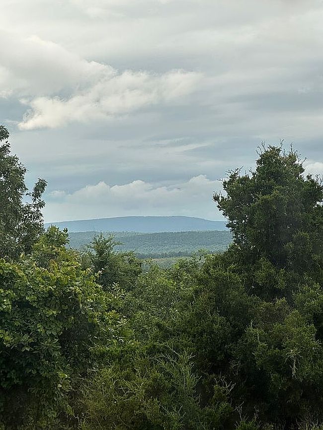 Image of 10476 Rodeo Rd