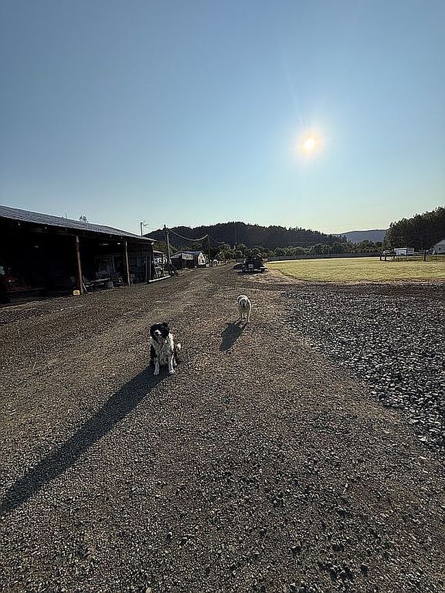 Image of 2355 Dairy Loop Rd
